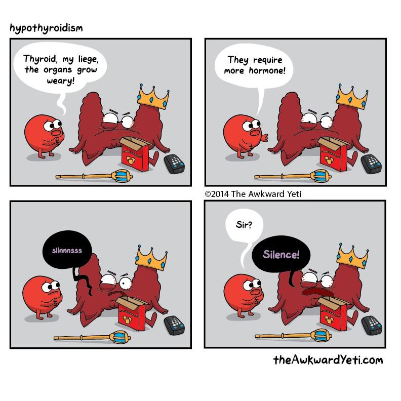 The Awkward Yeti Comic Called Hypothyroidism - Blood Cell: 'Thyroid, my liege, the organs grow weary!', Blood Cell: 'They require more hormone!', Thyroid: *slurs silence*, Blood Cell: 'Sir?', Thyroid: 'Silence!'