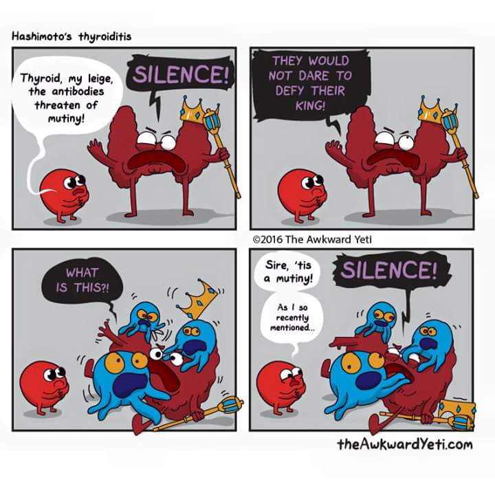 The Awkward Yeti Comic Called Hashimoto's Thyroiditis- Blood Cell: 'Thyroid, my leige, the antibodies threaten of mutiny!', Thyroid: 'SILENCE!', Thyroid: 'THEY WOULD NOT DARE TO DEFY THEIR KING!', Hashimoto's attack Thryoid, Thyroid: 'WHAT IS THIS?!', Blood Cell: 'Sire, 'tis a mutiny! As I so recently mentioned....', Thyroid: 'SILENCE!'