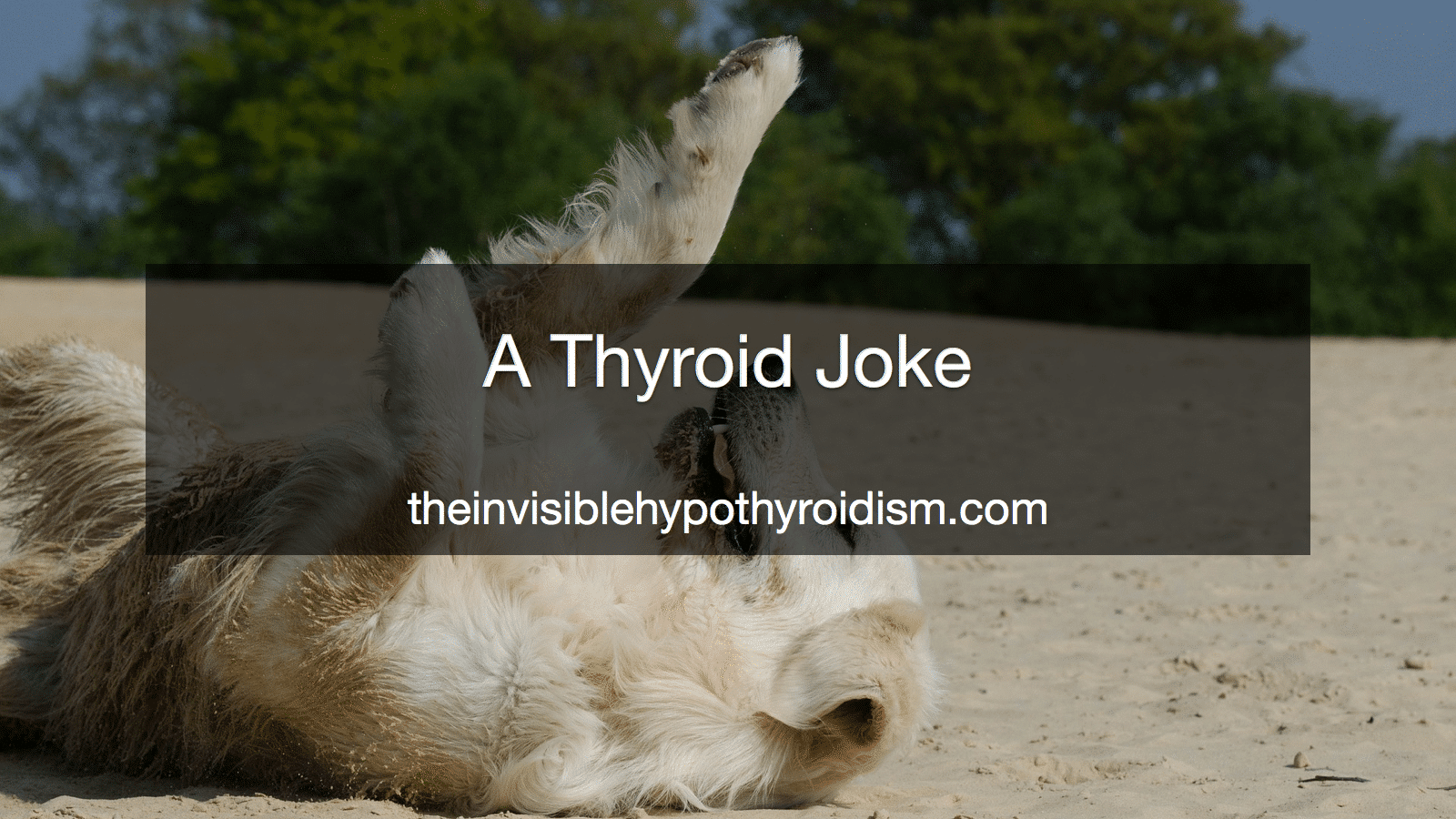 A Thyroid Joke