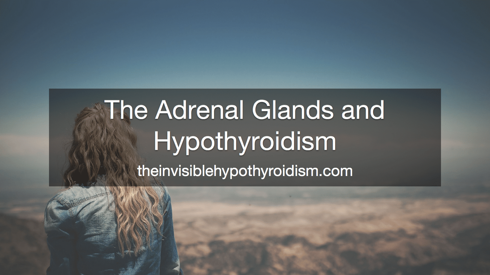 The Adrenal Glands and Hypothyroidism
