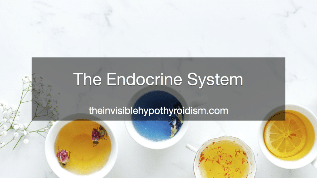 The Endocrine System