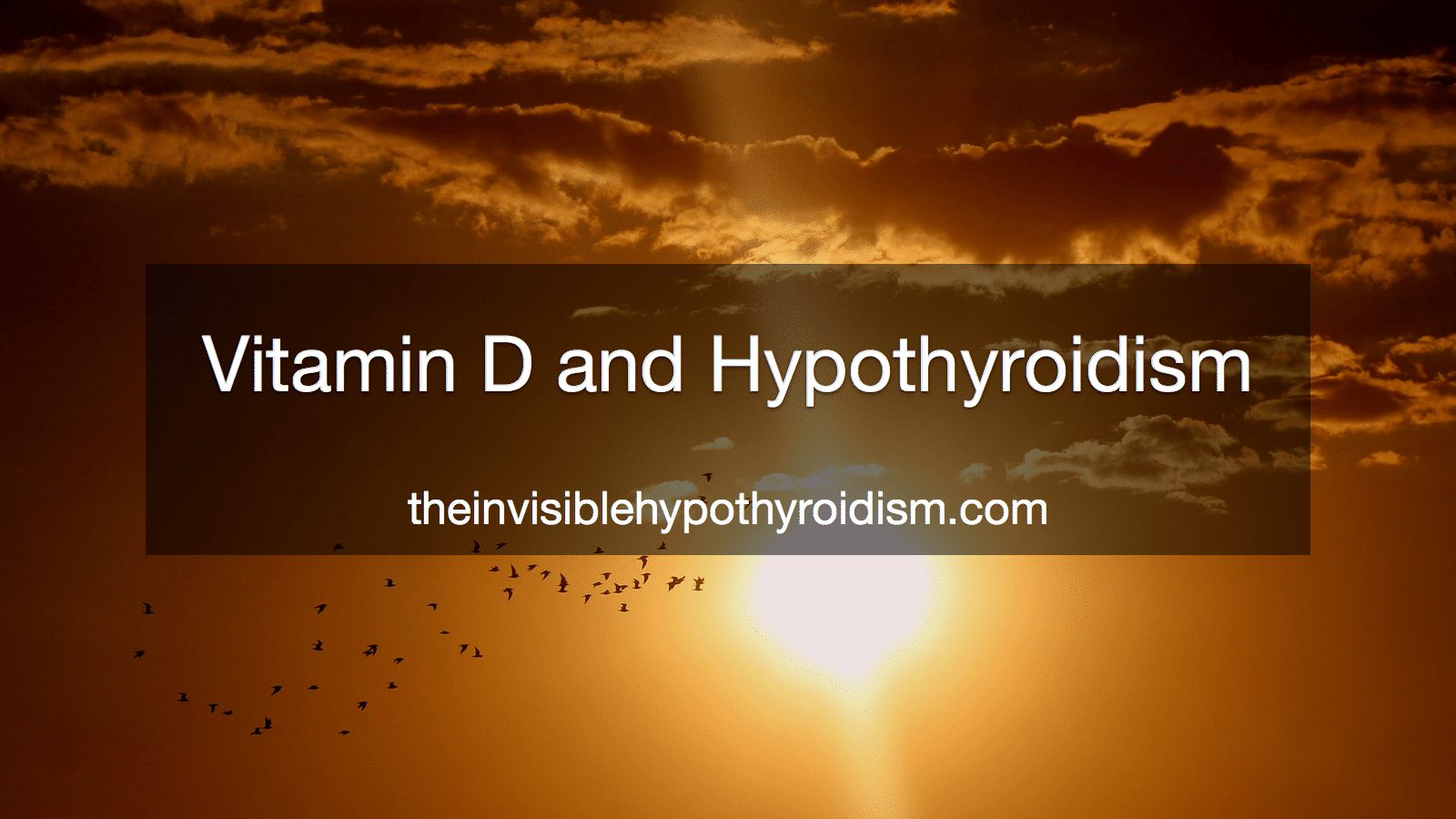 Vitamin D and Hypothyroidism
