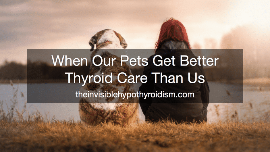 When Our Pets Get Better Thyroid Care Than Us