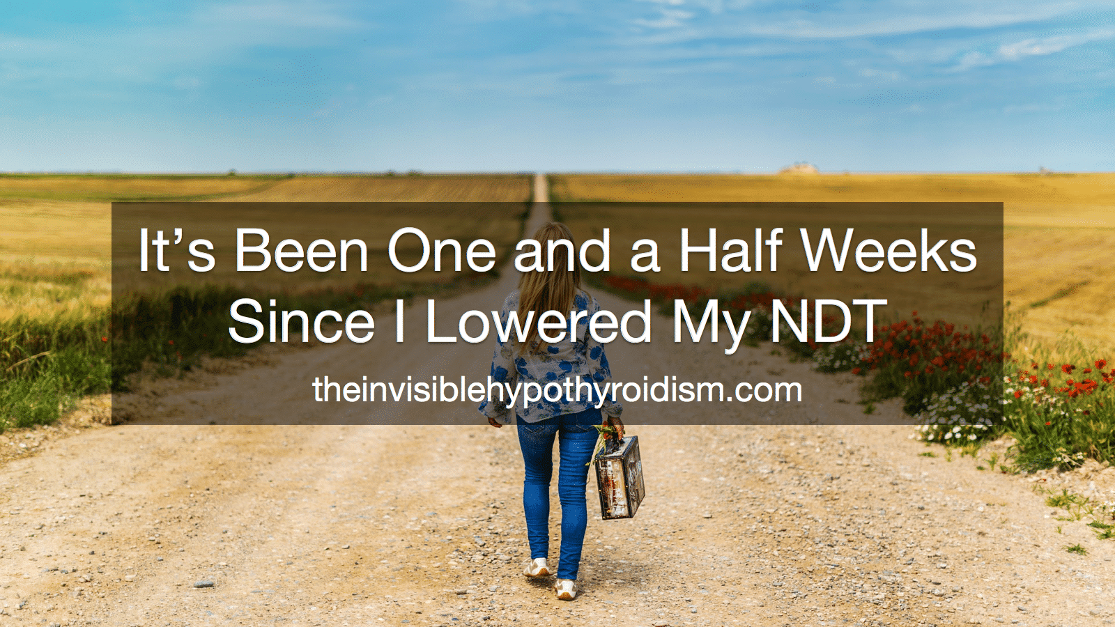 It's Been One and a Half Weeks Since I Lowered My NDT Dosage
