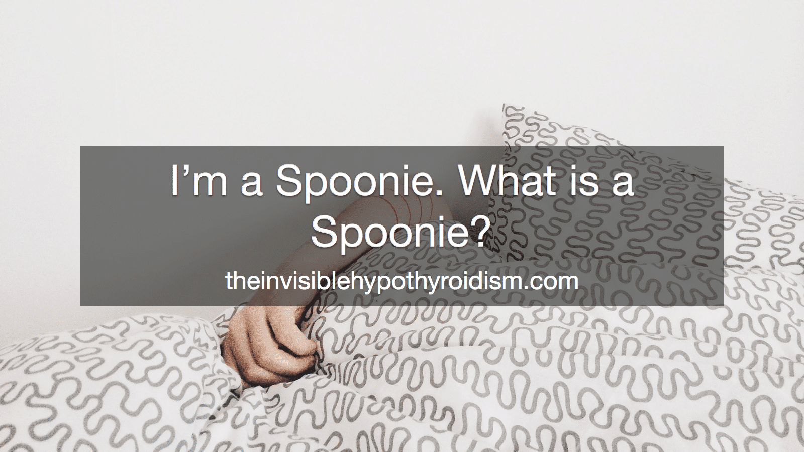 I'm a Spoonie. What is a Spoonie?
