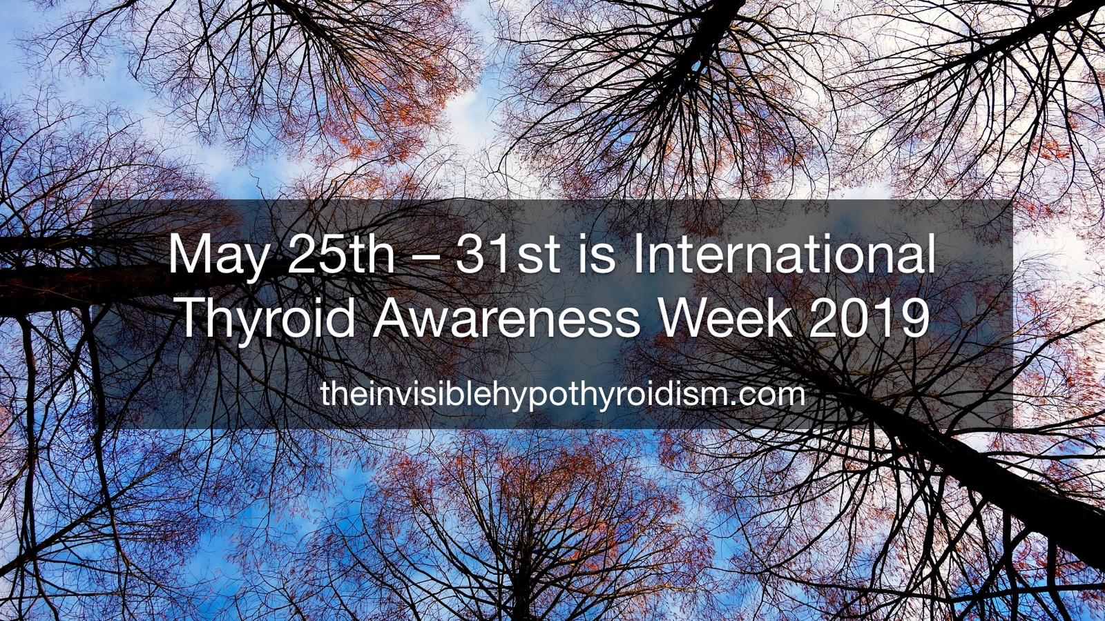 May 25th – 31st is International Thyroid Awareness Week 2019