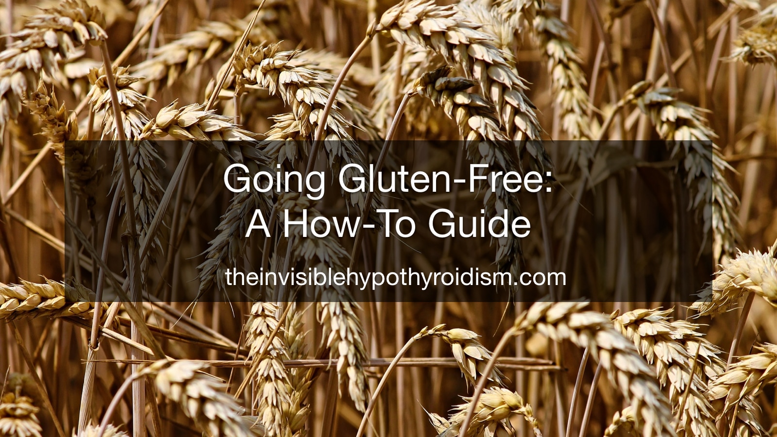 Going Gluten-Free: A How-To Guide