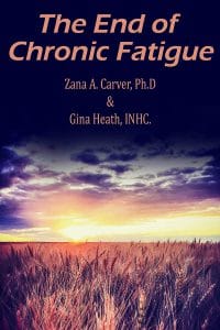 The End of Chronic Fatigue Book