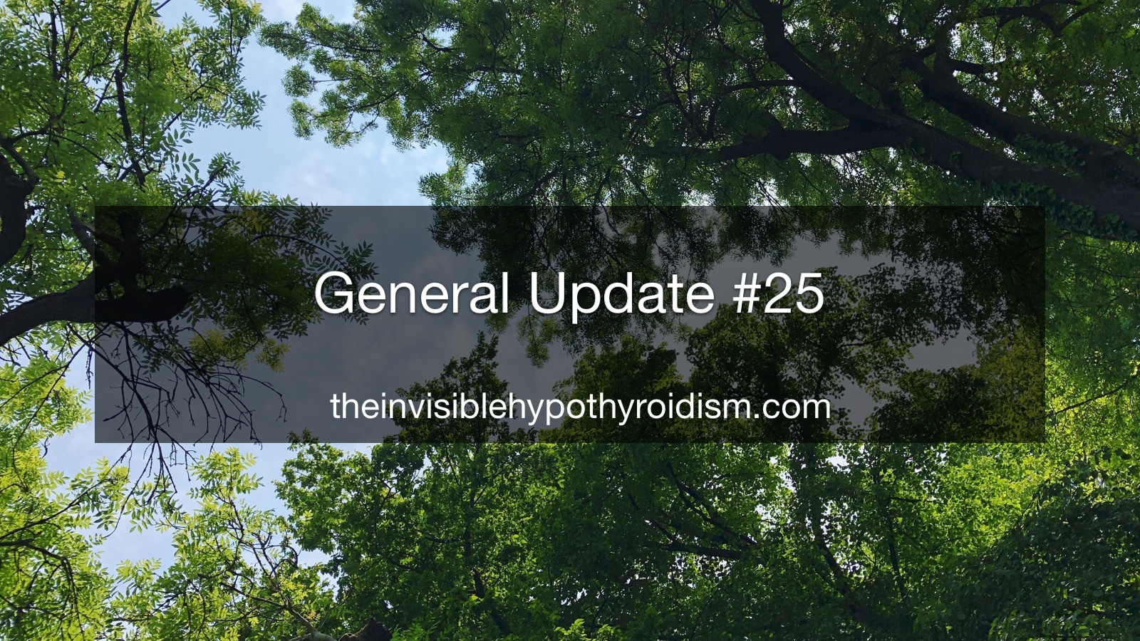 General Update #25