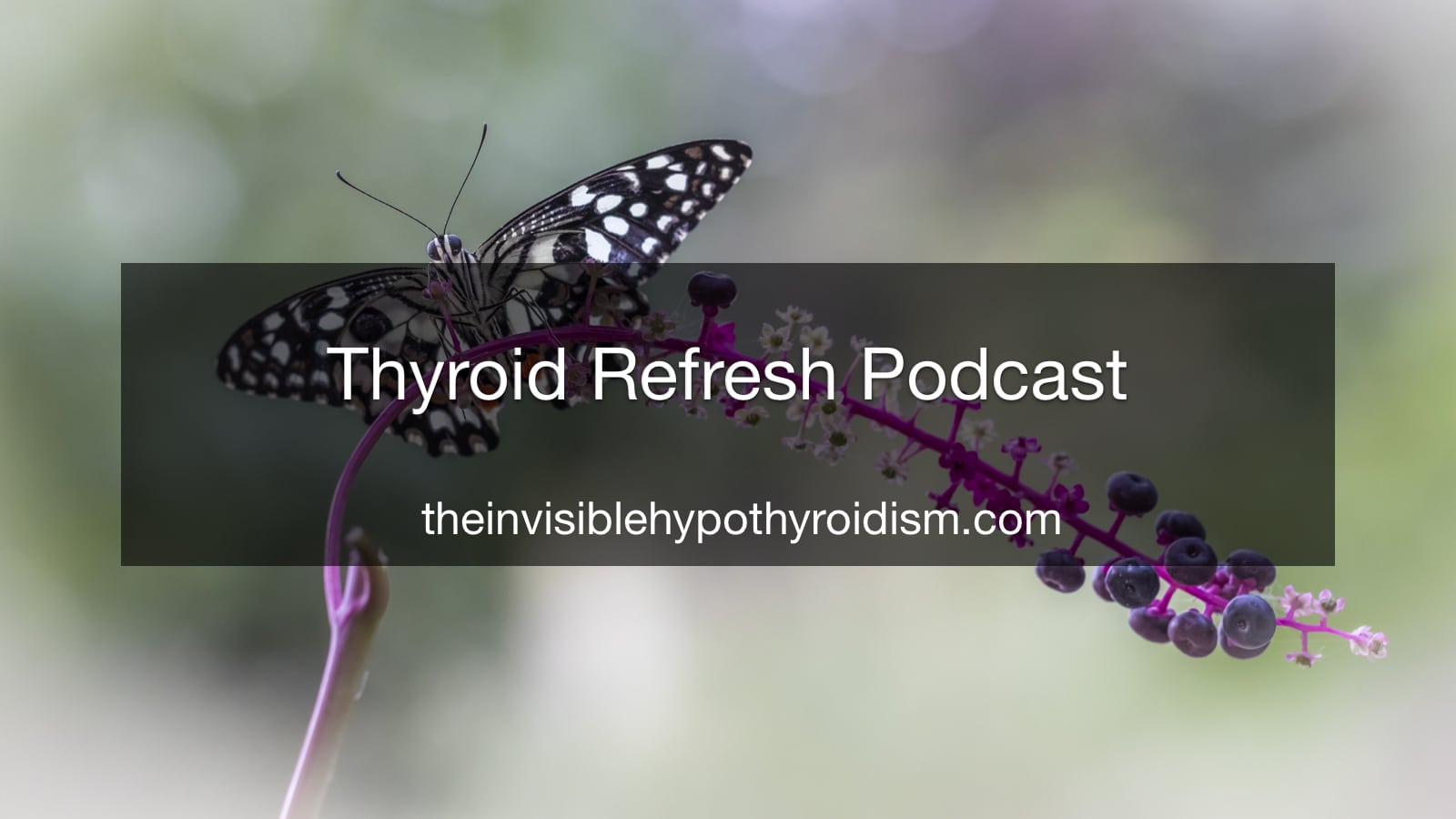 Thyroid Refresh Podcast