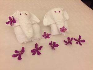 Elephants Made From Towels