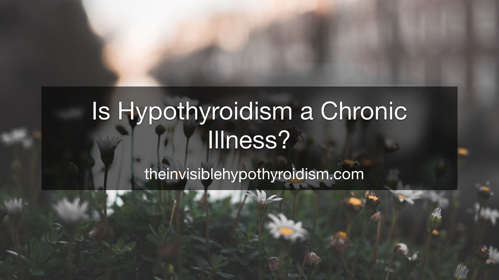Is Hypothyroidism a Chronic Illness?