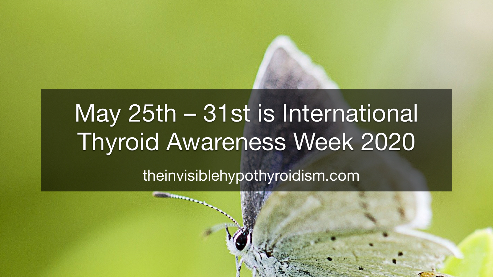 May 25th – 31st is International Thyroid Awareness Week 2020