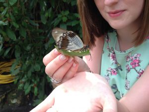 Rachel holding a butterfly