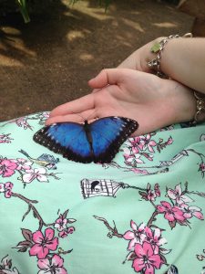 Rachel holding a butterfly