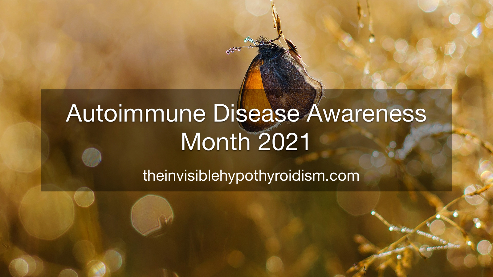 Autoimmune Disease Awareness Month The Invisible Hypothyroidism