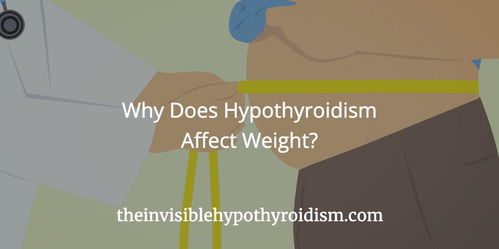 Why Does Hypothyroidism Affect Weight?